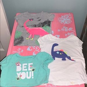 Summer Tshirt Lot 2T